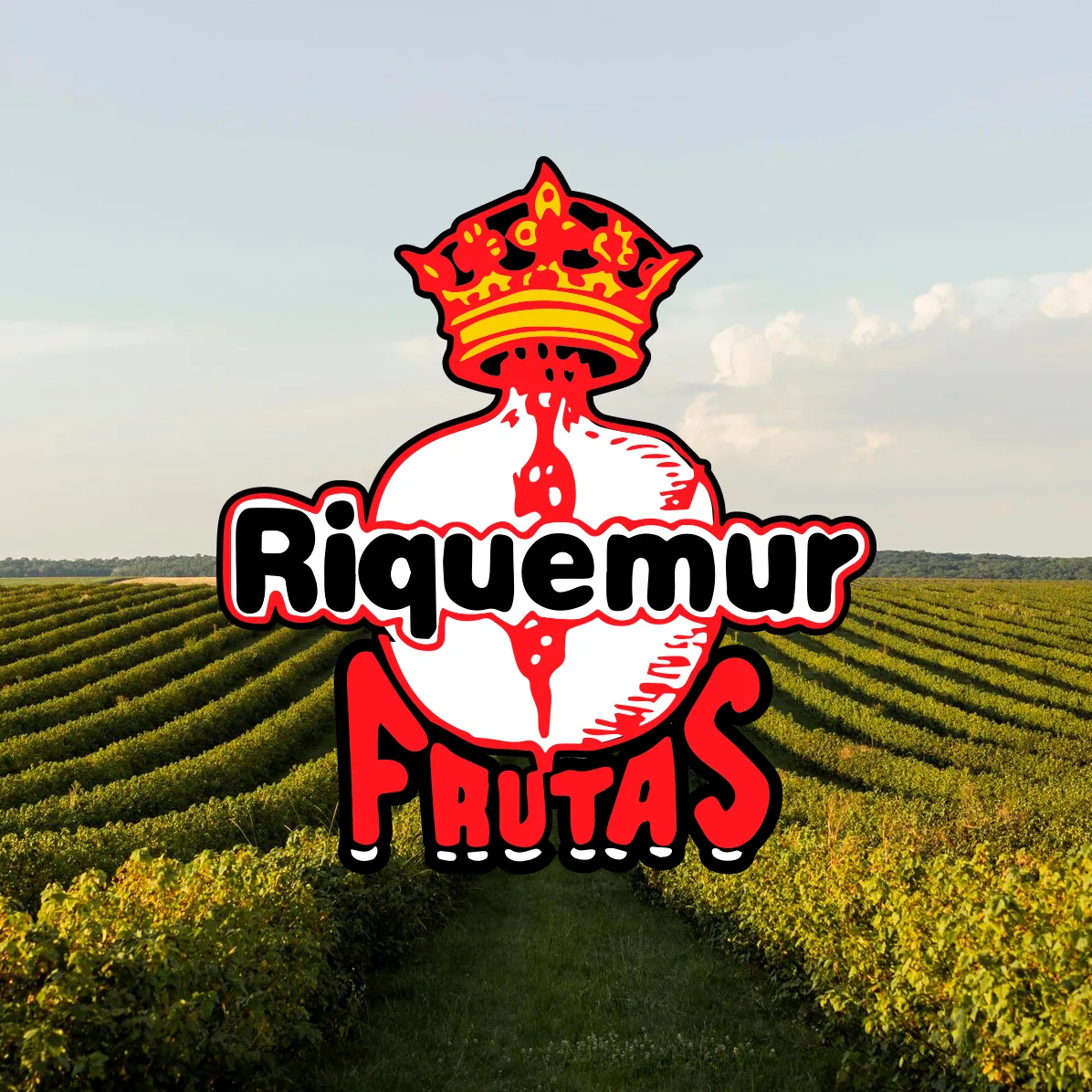 TRADICIÓN,Riquemur,Frutas Riquemur,Producción,Granadas,Nuestra Historia