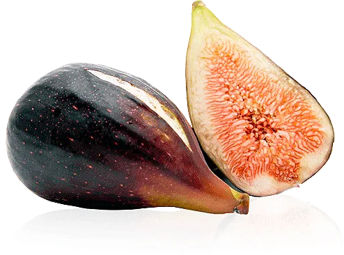 brevasqw