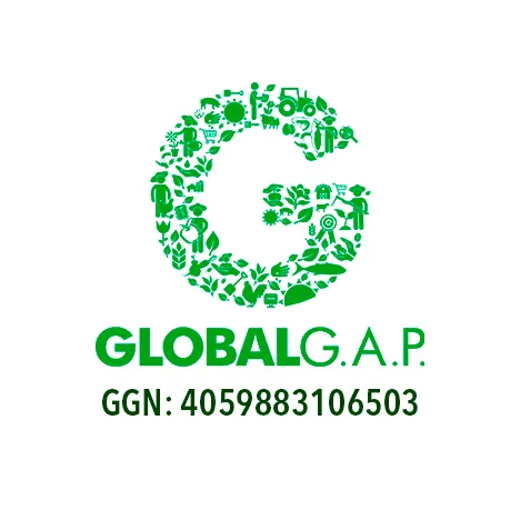 globalgap riquemur